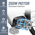TTGO E-Bike Cityrad ZZ-28ST 28’’ E-Cityrad Alu-Tiefrahmen mit Mittelmotor und Gepäckträger, 9 Gang SHIMANO ALTUS, Kettenschaltung, Mittelmotor, 720 Wh, 36V 20AH Rahmen trägt 125 kg Abenteuer, Reichweite bis 150 km,Pedelec – Bild 3