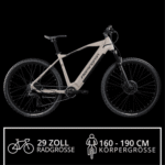 Remington E-Bike Mountainbike XR01, 10 Gang Shimano Cues U3020 SGS Schaltwerk, Kettenschaltung, Heckmotor, 550 Wh, E Bike Mountainbike 29 Zoll Pedelec 10 Gang 540Wh Fahrrad Hardtail MTB – Bild 2