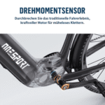 Onesport E-Bike Cityrad OT05pro herren Elektrofahrrad 700C*50C Zoll 22.5AH 36V 810WH damen, 7 Gang SHIMANO, Kettenschaltung, Heckmotor, 810 Wh, , Cityrad 7 Gang Shimano, hydraulischen Scheibenbremse, Kettenschaltung – Bild 4