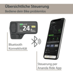 AGON E-Bike Mountainbike Alpha, 10 Gang Deore SGS T6000 Schaltwerk, Kettenschaltung, Heckmotor, 540 Wh, Pedelec, Elektrofahrrad für Damen u. Herren, MTB – Bild 5
