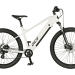 Prophete E-Bike Mountainbike Dice 1.8, 8 Gang Shimano Altus Schaltwerk, Kettenschaltung, Heckmotor, 360 Wh